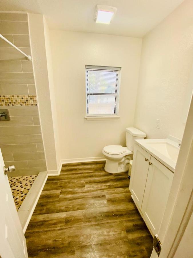 Two Fully Equipped Apartments And A Studio 5 Miles From The Beach سانت بطرسبرج المظهر الخارجي الصورة