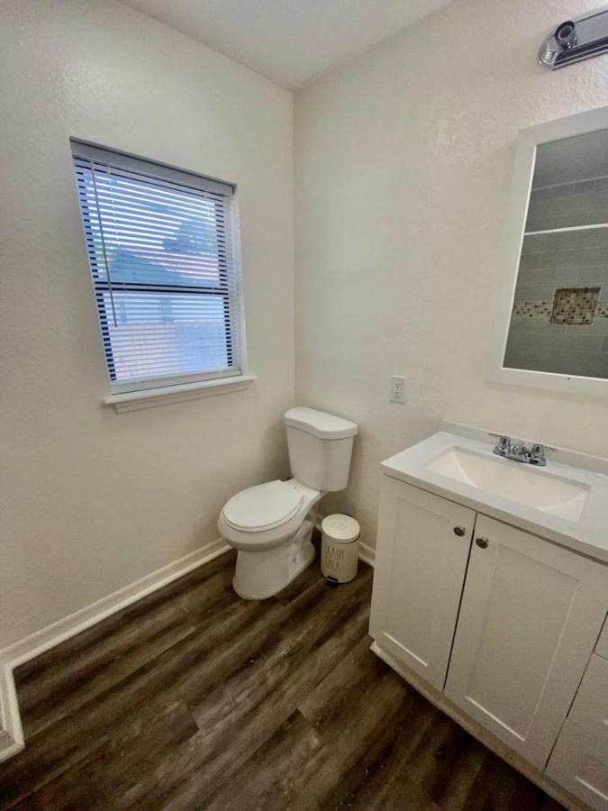 Two Fully Equipped Apartments And A Studio 5 Miles From The Beach سانت بطرسبرج المظهر الخارجي الصورة