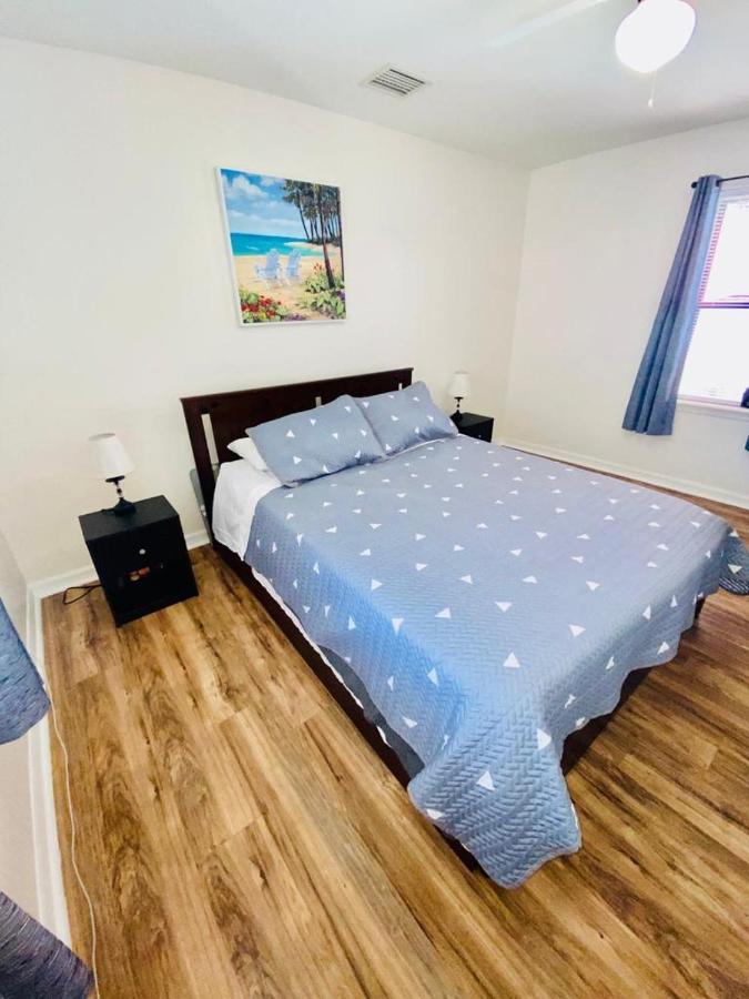 Two Fully Equipped Apartments And A Studio 5 Miles From The Beach سانت بطرسبرج المظهر الخارجي الصورة