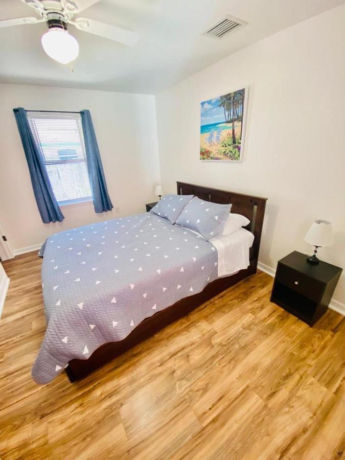 Two Fully Equipped Apartments And A Studio 5 Miles From The Beach سانت بطرسبرج المظهر الخارجي الصورة
