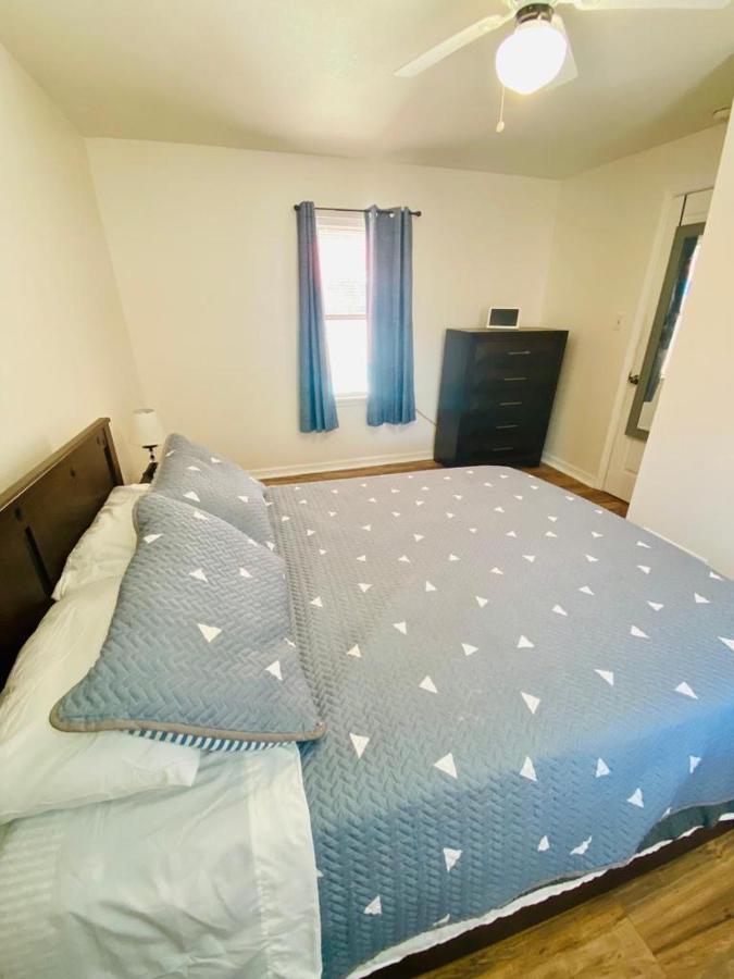 Two Fully Equipped Apartments And A Studio 5 Miles From The Beach سانت بطرسبرج المظهر الخارجي الصورة