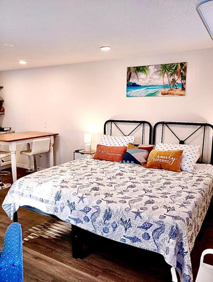 Two Fully Equipped Apartments And A Studio 5 Miles From The Beach سانت بطرسبرج المظهر الخارجي الصورة
