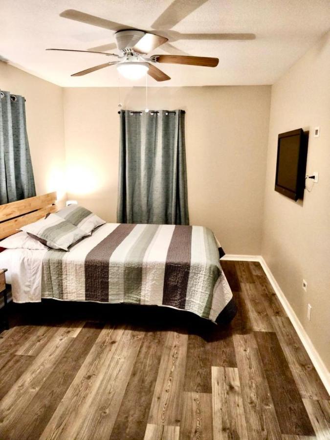 Two Fully Equipped Apartments And A Studio 5 Miles From The Beach سانت بطرسبرج المظهر الخارجي الصورة